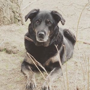 Meet your Posher, Haley